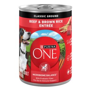 Purina ONE Beef & Brown Rice Wet Dog Food