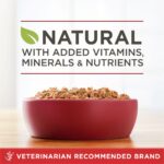 Purina ONE Beef & Brown Rice Wet Dog Food, photo 4