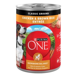Purina ONE Chicken & Brown Rice Wet Dog Food