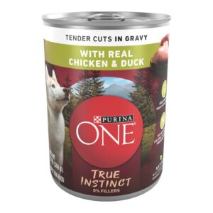 Purina ONE True Instinct Tender Cuts in Gravy Chicken & Duck Wet Dog Food
