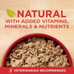 Purina ONE Lamb & Rice Healthy Puppy Wet Dog Food, photo 3