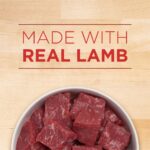Purina ONE Lamb & Rice Healthy Puppy Wet Dog Food, photo 5