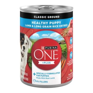 Purina ONE Lamb & Rice Healthy Puppy Wet Dog Food