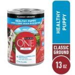 Purina ONE Lamb & Rice Healthy Puppy Wet Dog Food