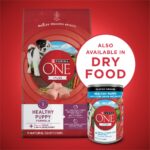 Purina ONE Lamb & Rice Healthy Puppy Wet Dog Food, photo 4