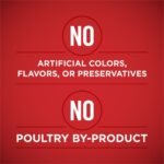 Purina ONE Chicken & Brown Rice Tender Cuts in Gravy Wet Dog Food, photo 5