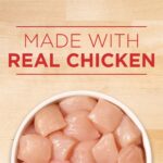 Purina ONE Chicken & Brown Rice Tender Cuts in Gravy Wet Dog Food, photo 4