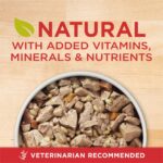 Purina ONE Chicken & Brown Rice Tender Cuts in Gravy Wet Dog Food, photo 3