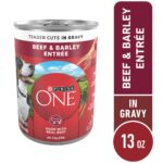Purina ONE Beef & Barley Tender Cuts in Gravy Wet Dog Food