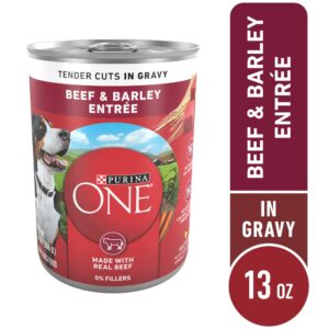 Purina ONE Beef & Barley Tender Cuts in Gravy Wet Dog Food