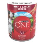 Purina ONE Beef & Barley Tender Cuts in Gravy Wet Dog Food