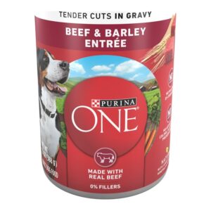 Purina ONE Beef & Barley Tender Cuts in Gravy Wet Dog Food