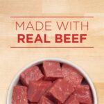 Purina ONE Beef & Barley Tender Cuts in Gravy Wet Dog Food, photo 5