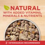 Purina ONE Beef & Barley Tender Cuts in Gravy Wet Dog Food, photo 3