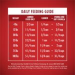 Purina ONE Beef & Barley Tender Cuts in Gravy Wet Dog Food, photo 2