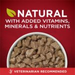 Purina ONE True Instinct Tender Cuts Beef & Salmon Wet Dog Food, photo 2