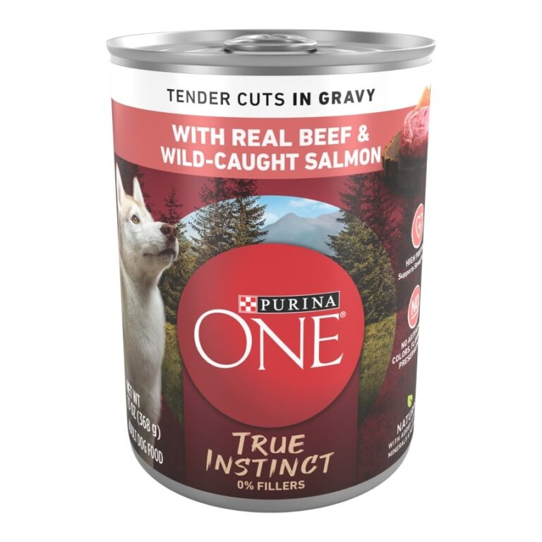 Purina ONE True Instinct Tender Cuts Beef & Salmon Wet Dog Food