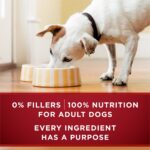 Purina ONE True Instinct Tender Cuts Beef & Salmon Wet Dog Food, photo 6