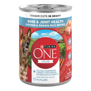 Purina ONE Chicken & Brown Rice Bone & Joint Wet Dog Food