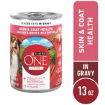 Purina ONE Chicken & Brown Rice Skin & Coat Wet Dog Food