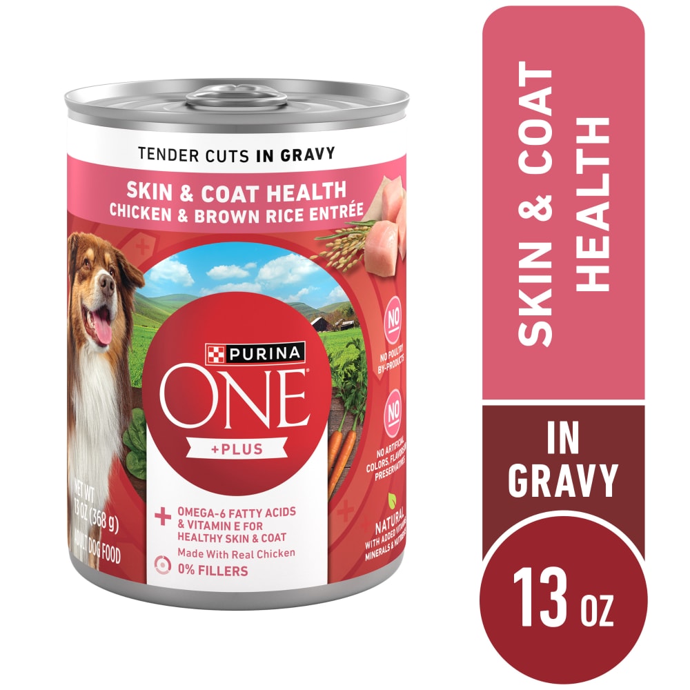 Purina ONE Chicken & Brown Rice Skin & Coat Wet Dog Food