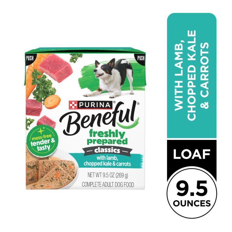 Purina Beneful Freshly Prepared Classics With Lamb, Chopped Kale and Carrots Pate Wet Dog Food