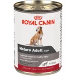 Royal Canin Canine Care Nutrition Mature Adult in Gel Wet Dog Food