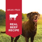 Instinct Original Food Real Beef Recipe Wet Dog Food, photo 2