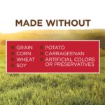Instinct Original Food Real Beef Recipe Wet Dog Food, photo 4