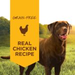 Instinct Original Food Real Chicken Recipe Wet Dog Food, photo 2