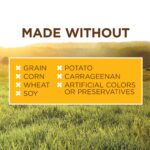Instinct Original Food Real Chicken Recipe Wet Dog Food, photo 4