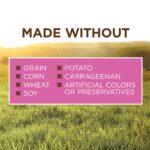 Instinct Original Food for Small Breed Dogs Real Beef Recipe Wet Dog Food, photo 4