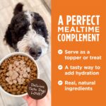 Instinct Original Healthy Cravings Toppers Real Salmon Recipe Dog Food Topper, photo 3