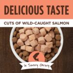 Instinct Original Healthy Cravings Toppers Real Salmon Recipe Dog Food Topper, photo 2