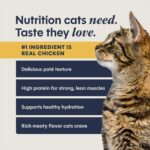 Instinct Original Split Cups Paté Chicken Entrée Dog Food Topper, photo 5