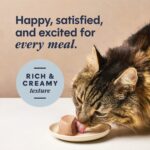 Instinct Original Split Cups Paté Chicken Entrée Dog Food Topper, photo 7