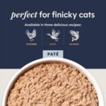 Instinct Original Split Cups Paté Chicken Entrée Dog Food Topper, photo 6
