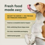 Instinct Freshly Crafted Meals Cage-Free Chicken Recipe Wet Dog Food, photo 5