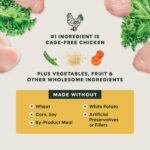 Instinct Freshly Crafted Meals Cage-Free Chicken Recipe Wet Dog Food, photo 4