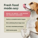 Instinct Freshly Crafted Meals Pork & Wild-Caught Salmon Recipe Wet Dog Food, photo 5