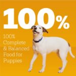 Pedigree Puppy Chopped Ground Dinner , Chicken & Beef Wet Dog Food, photo 3