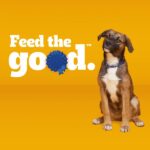 Pedigree Puppy Pouch, Beef Wet Dog Food, photo 5