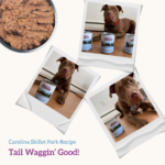 Health Extension food Grain Free Carolina Skillet Wet Dog Food, photo 6