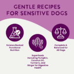 Health Extension Digestive Support, Beef & Carrot Entrée in Gravy Wet Dog Food, photo 5