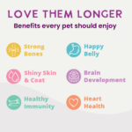 Health Extension Digestive Support, Beef & Carrot Entrée in Gravy Wet Dog Food, photo 6