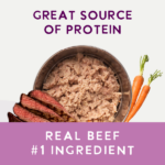 Health Extension Digestive Support, Beef & Carrot Entrée in Gravy Wet Dog Food, photo 4