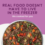 Health Extension Gently Cooked Beef And Potato Recipe Wet Dog Food, photo 8