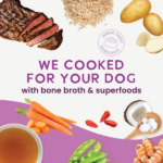 Health Extension Gently Cooked Beef And Potato Recipe Wet Dog Food, photo 10