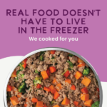 Health Extension Gently Cooked Lamb And Carrot Recipe Wet Dog Food, photo 6