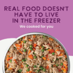 Health Extension Gently Cooked Chicken And Pumpkin Recipe Wet Dog Food, photo 8